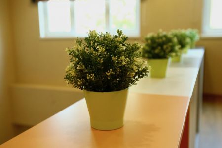 Улучшенный 2-комнатный