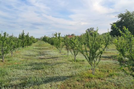 162429500520210619_190912