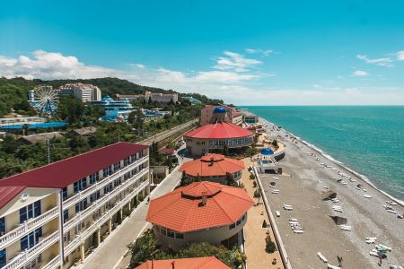 Внешний вид