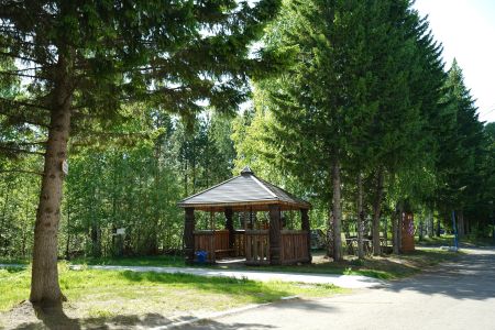 Внешний вид