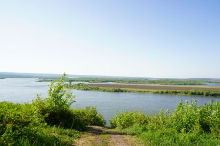 Внешний вид