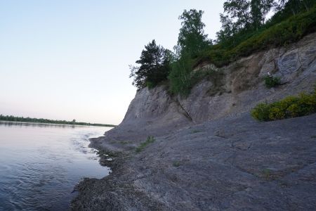 Внешний вид