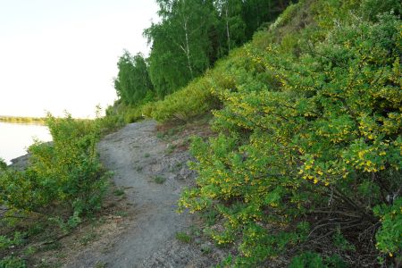 Внешний вид