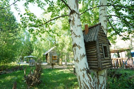 Внешний вид