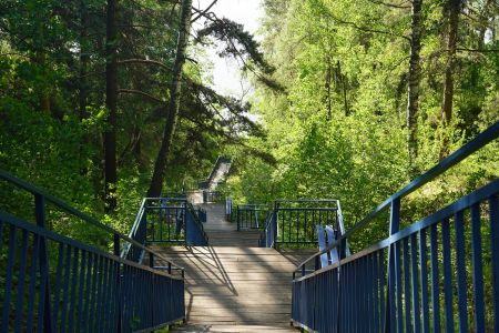 Территория