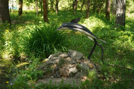 Внешний вид