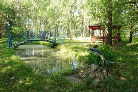 Внешний вид