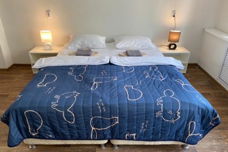 Номер 6-местный (№6)