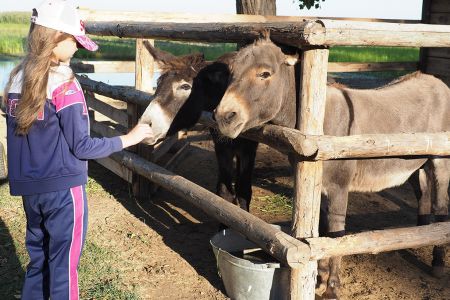 img-20220518-wa0032-800x800