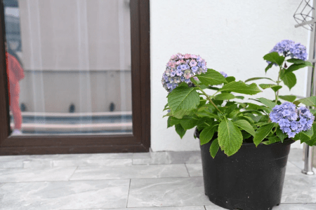 Территория