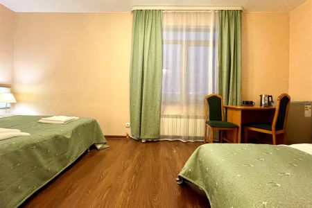 Стандартный 1-местный