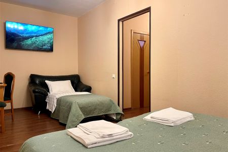 Стандартный 1-местный