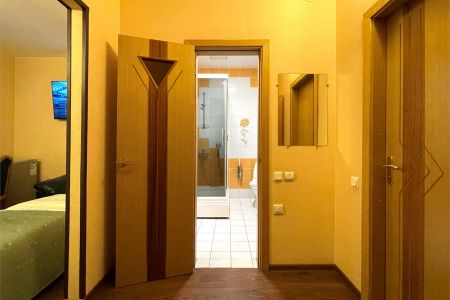 Стандартный 1-местный