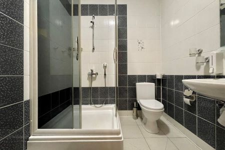 Стандартный 1-местный