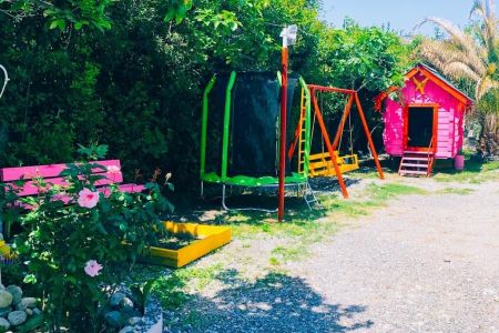 Пальмовая роща