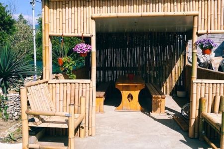 Пальмовая роща