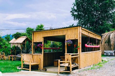 Пальмовая роща