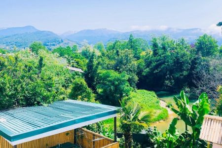 Пальмовая роща