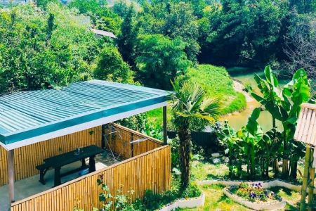 Пальмовая роща