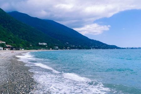 Пальмовая роща