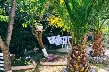 Пальмовая роща