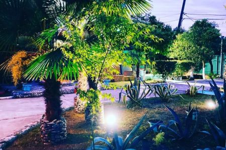 Пальмовая роща