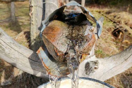 Дом 12-местный (на б/о №5)