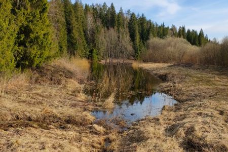 Дом 12-местный (на б/о №5)