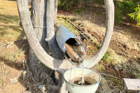 Дом 12-местный (на б/о №5)