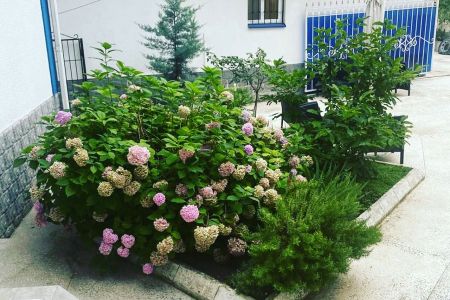 Стандартный 2-местный