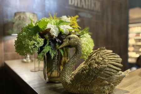 Внешний вид