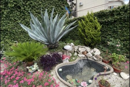 Внешний вид