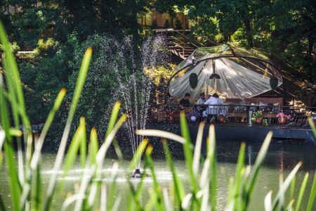 Территория