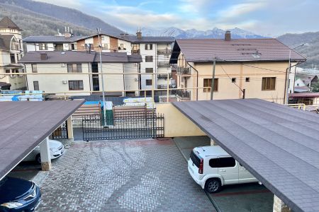 Внешний вид, территория