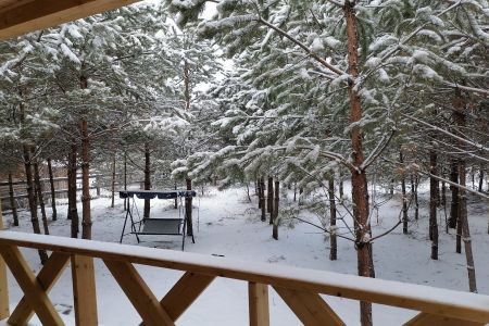 Березовая 13