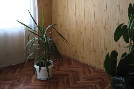 Лондон Сити