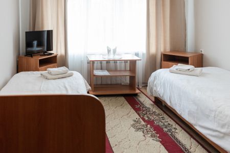 Эконом 1-местный