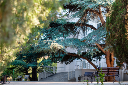 «Grand Kurort» / «Гранд Курорт» парк-отель