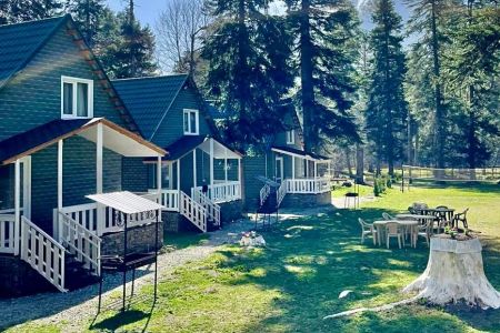 Территория