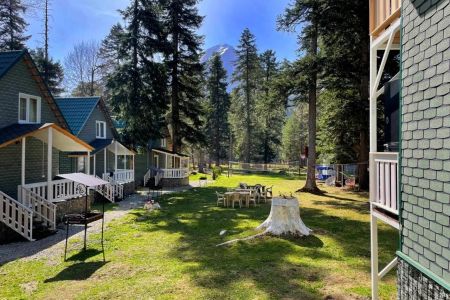 Территория