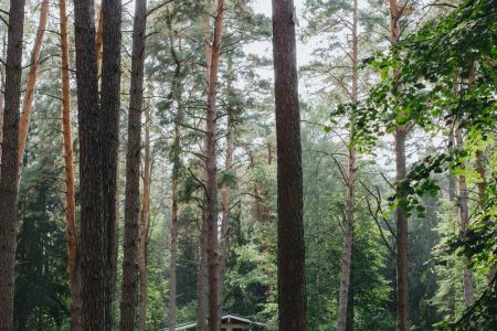 Коттедж 4-местный (River House