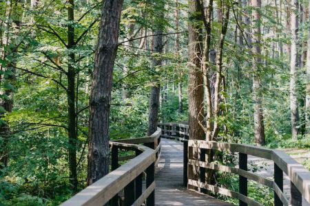 Коттедж 4-местный (River House