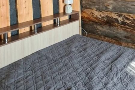 Дом Дуплекс 4-местный (Лес)