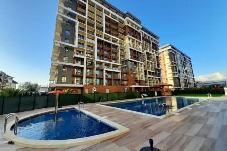 Внешний вид