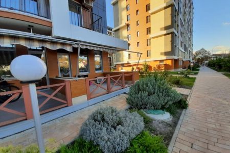 Внешний вид