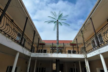 «Пальма» гостевой дом