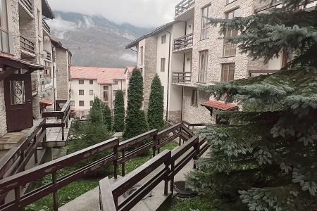 Внешний вид, территория