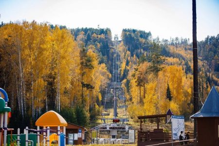 Внешний вид