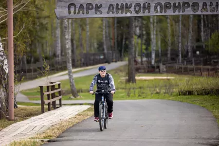 Внешний вид