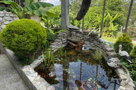 Территория